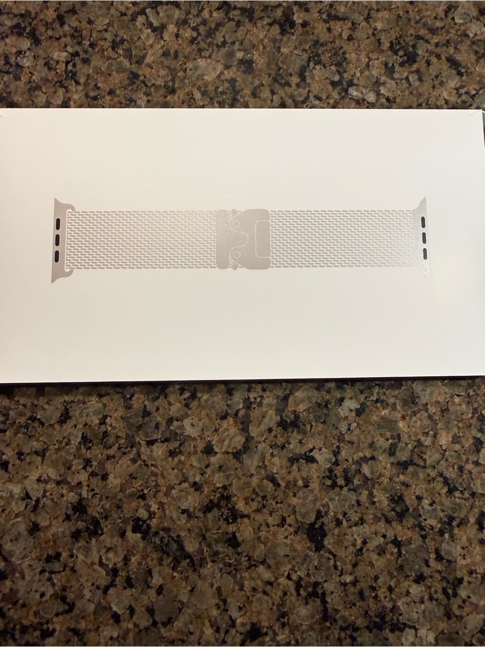 Apple Silver Milanese Loop Watch Band